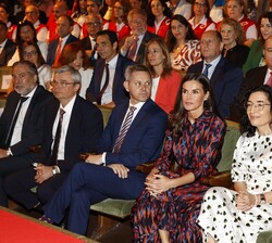 Doña Letizia en los prolegómenos del acto